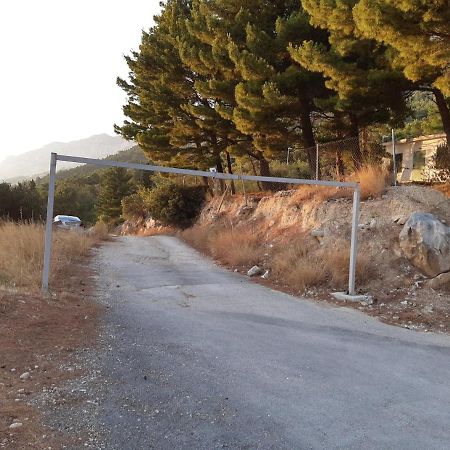 Peace And Quiet Apartment In Brela, Croatia מראה חיצוני תמונה